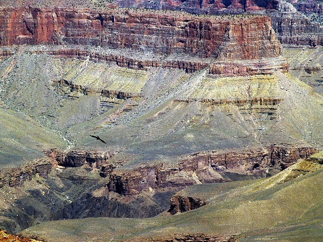 grand-canyon-53699_640.jpg