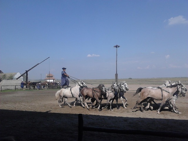 hungary-331251_640.jpg