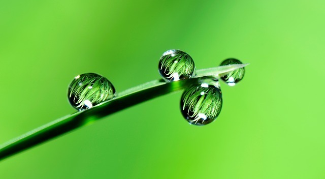water-2986837_640.jpg